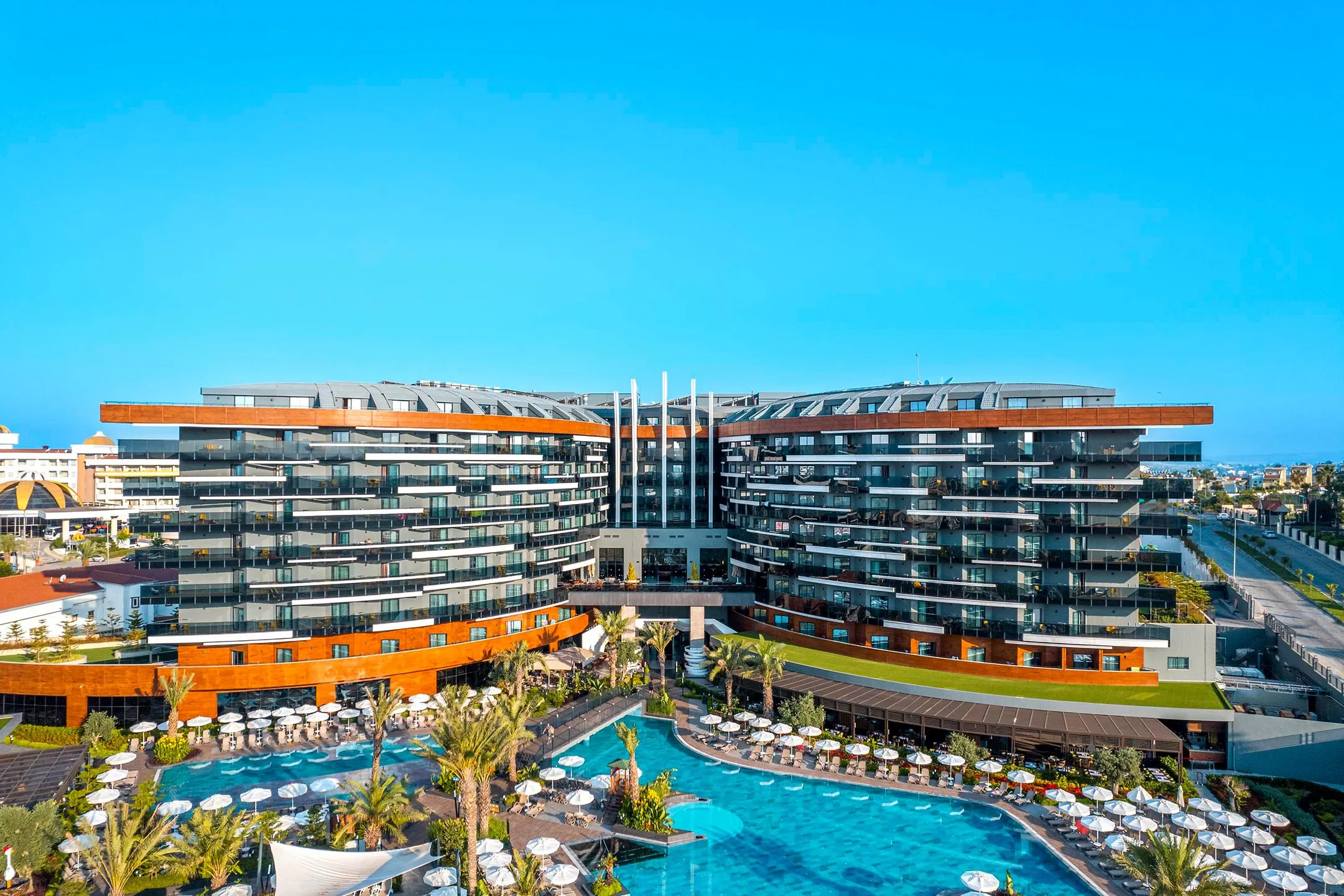 Calyptus Kirman Premium